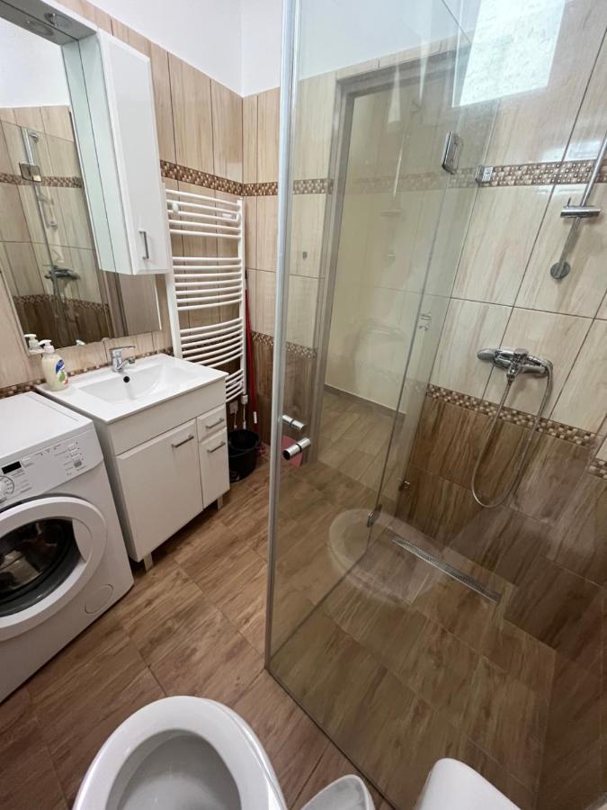 Albi Apartman سيغيد المظهر الخارجي الصورة