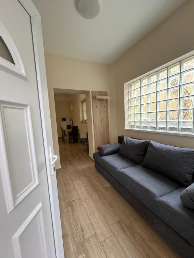 Albi Apartman سيغيد المظهر الخارجي الصورة